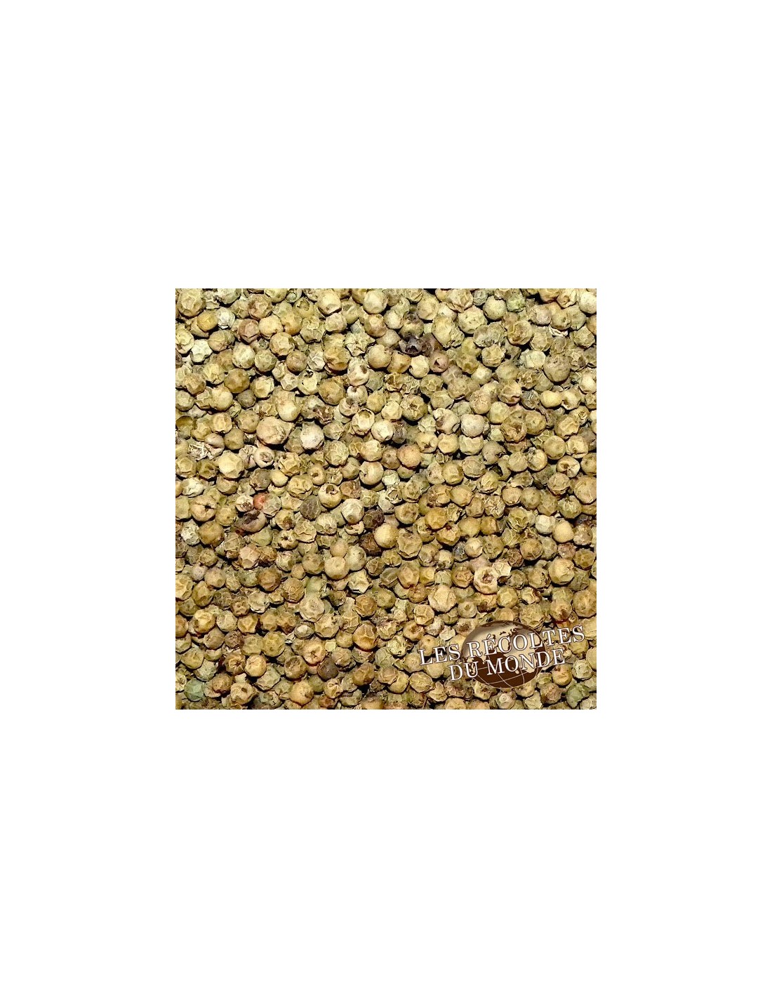 Grain De Poivre Vert D'isolement Photo stock - Image du lame, condiments:  145871288